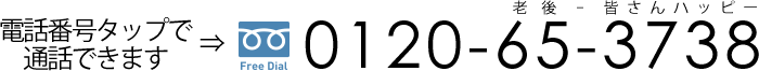 0120-65-3738
